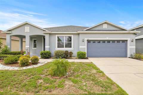 Hartford Fern, RIVERVIEW, FL 33569