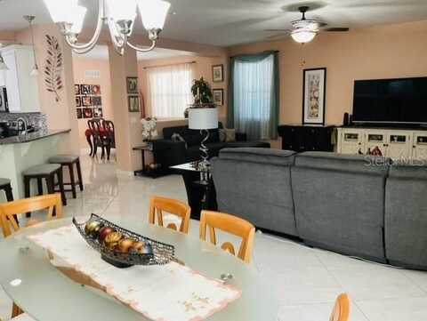 Hartford Fern, RIVERVIEW, FL 33569