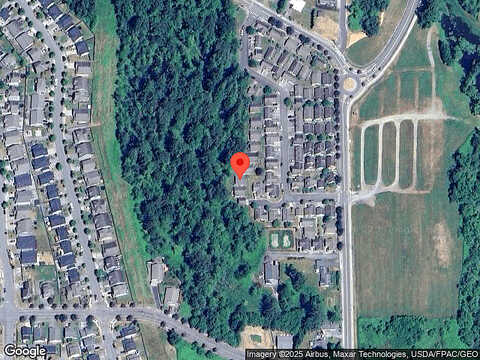 Wildflower, SEDRO WOOLLEY, WA 98284