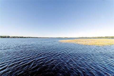 Emerald, HERNANDO, FL 34442