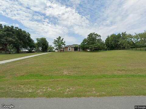 Thoroughbred, MONTVERDE, FL 34756