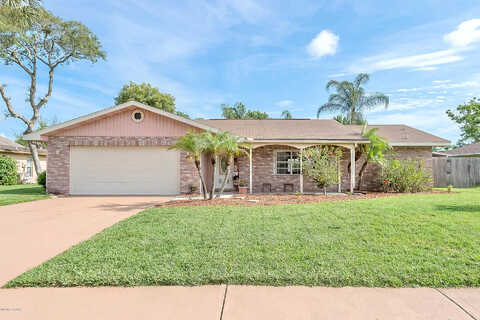 Needles, PORT ORANGE, FL 32127