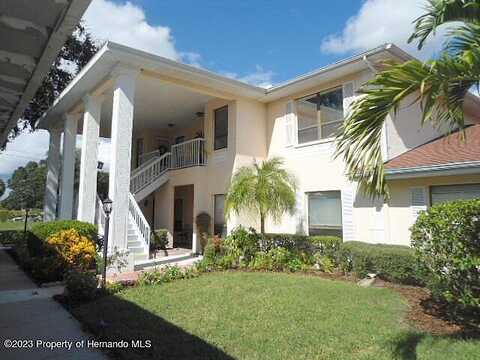Kelsey, SUN CITY CENTER, FL 33573