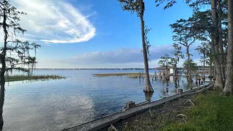 Trout, ORLANDO, FL 32836