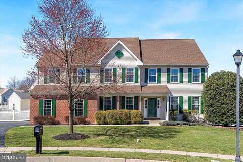 Amber, NORRISTOWN, PA 19401