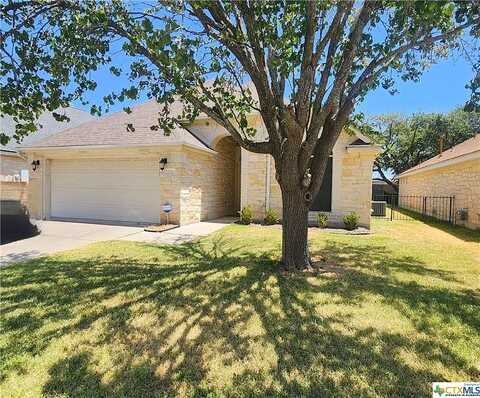 Village, GEORGETOWN, TX 78628