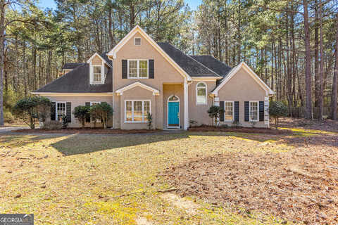 Weeping Willow, TYRONE, GA 30290