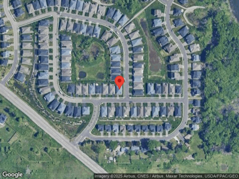Spruce, NEWPORT, MN 55055