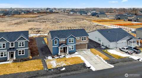 Dapple Gray, ELLENSBURG, WA 98926