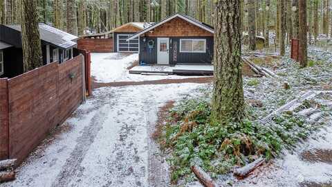 343Rd Avenue, ASHFORD, WA 98304