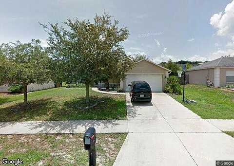 Cherry Laurel, MINNEOLA, FL 34715