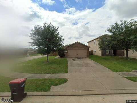 Wild Duck, HOCKLEY, TX 77447