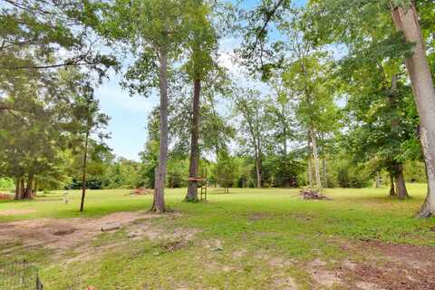 Hardin Court, KOUNTZE, TX 77625