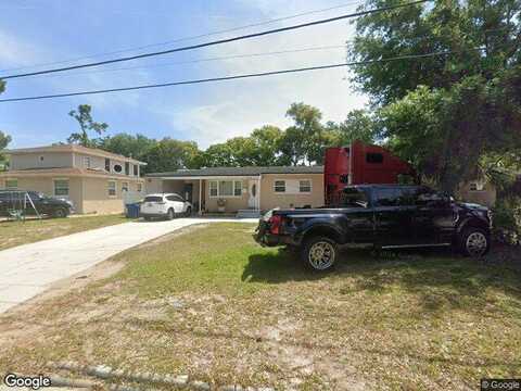 Caladium, JACKSONVILLE, FL 32211
