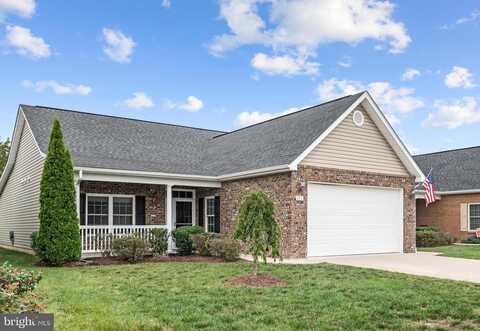Sadi, STEPHENS CITY, VA 22655