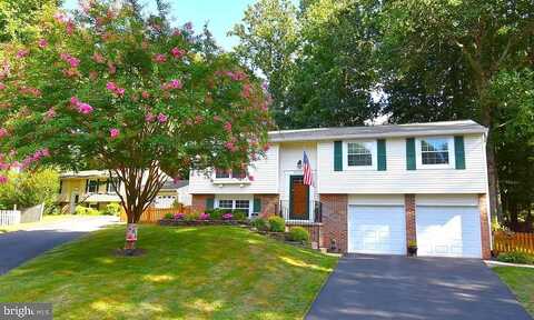 Wax Myrtle, BURKE, VA 22015