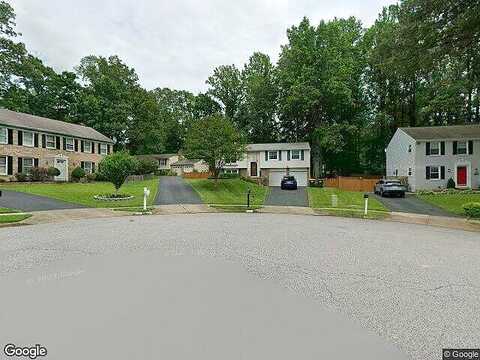 Wax Myrtle, BURKE, VA 22015