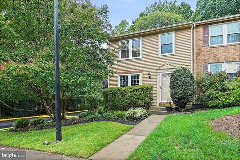 Ivy Bush, RESTON, VA 20191