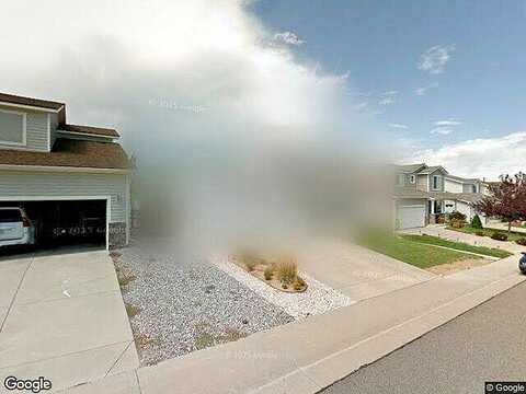 Cougar, LITTLETON, CO 80125