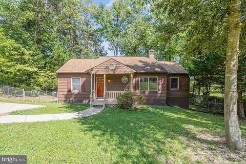 Cherry Laurel, FREDERICKSBURG, VA 22405