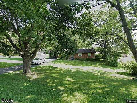 Maple, TROUTVILLE, VA 24175
