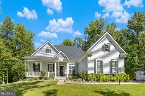 Sweet William, STAFFORD, VA 22554