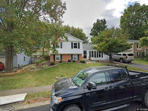 Merlins, HERNDON, VA 20170