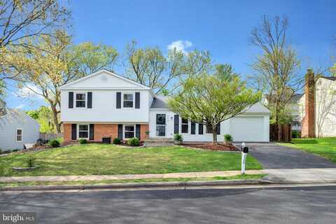 Merlins, HERNDON, VA 20170