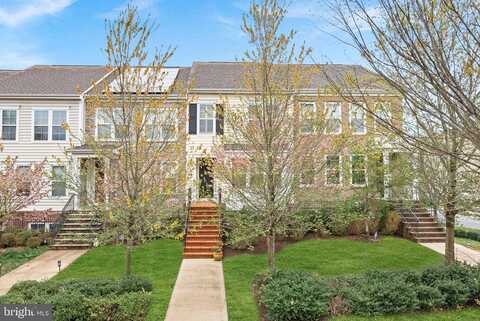 Apricot, STAFFORD, VA 22554