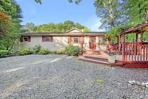 Nitche, SHOHOLA, PA 18458