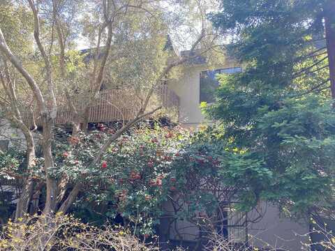 Shelter Creek, SAN BRUNO, CA 94066