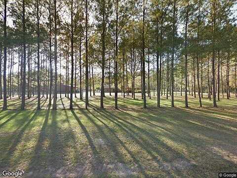 County Road 4880, FRED, TX 77616