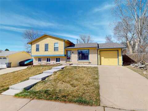 Alkire, MORRISON, CO 80465