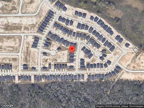 Pond Apple, CONROE, TX 77385