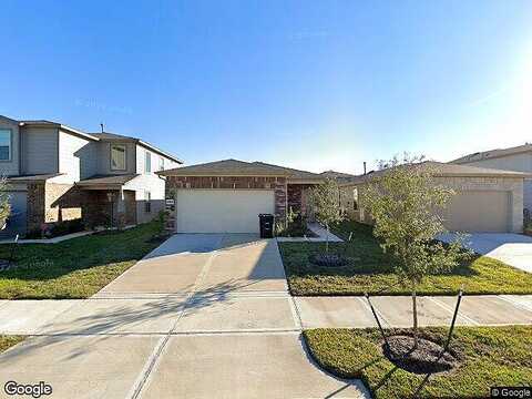Skyview Silver, HOUSTON, TX 77047