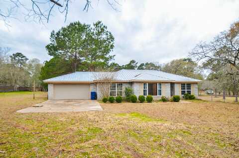 Goldenrain, PLANTERSVILLE, TX 77363