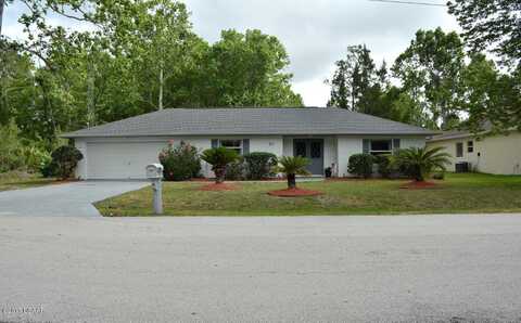 Zephyr Lily, PALM COAST, FL 32164