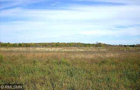 Fitzgerald, RUSH CITY, MN 55069