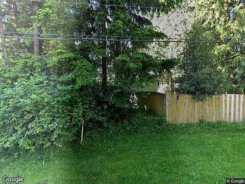 Conifer, FERNDALE, WA 98248