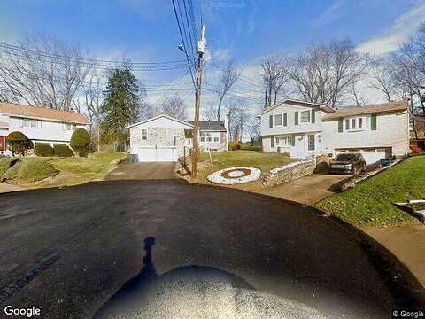 White Birch, PITTSBURGH, PA 15235
