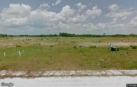 Hibiscus, WINTER HAVEN, FL 33881