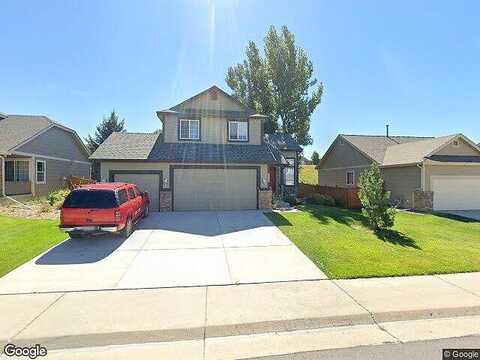 Mango, CASTLE ROCK, CO 80104