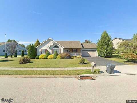 Lynx, HANOVER, PA 17331
