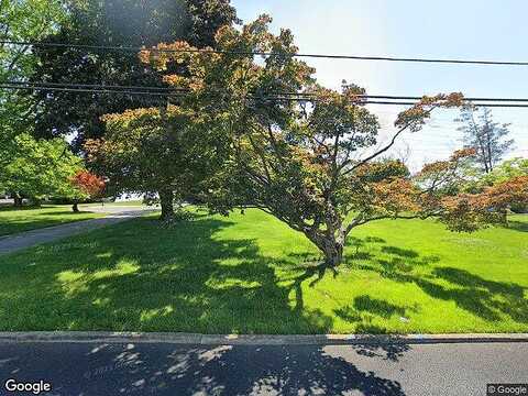 Cherry, BLUE BELL, PA 19422
