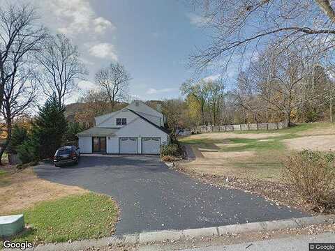 Red Fox, PHOENIXVILLE, PA 19460