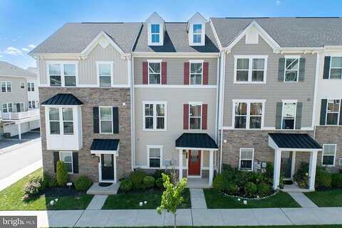 Blue Welsh, MALVERN, PA 19355
