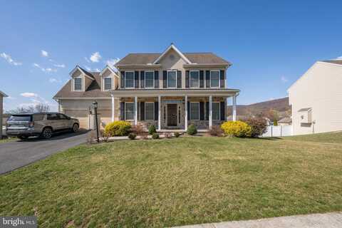 Pin Oak, HARRISBURG, PA 17112
