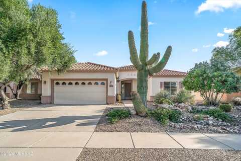 Summer Scene, TUCSON, AZ 85743