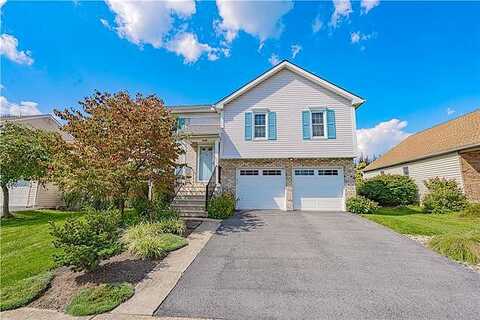 Willow, CATASAUQUA, PA 18032