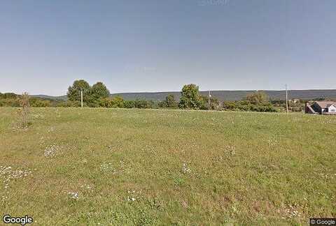 Buckskin, DANIELSVILLE, PA 18038